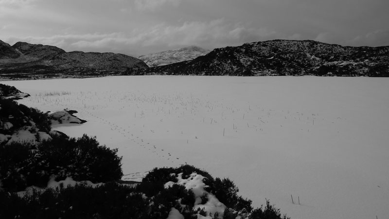 Dock Tarn